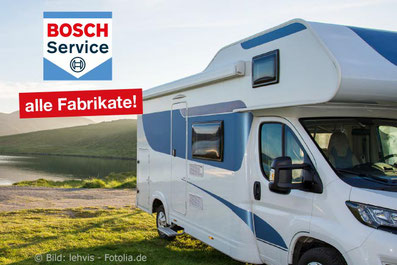 Bild zeigt Wohnmobil auf grünem Rasen vor einem See