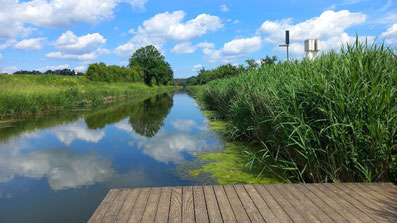 Badesteg im Vordergrund am Kanal, umrandet von hohem Schilf, grünen Wiesen und Bäumen. Blauer Himmel mit Wolken.