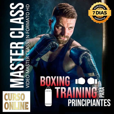 Curso Online Boxing Training Para Principiantes, cursos de oficios online,