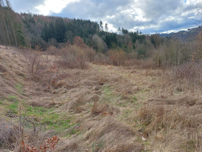Feld Brache