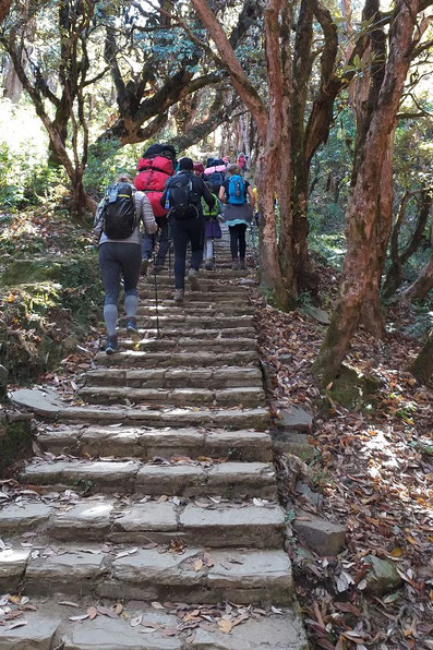 Annapurna Basecamp Trek 