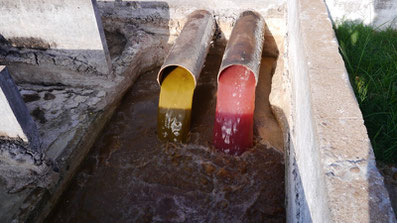 Biodigestor en matadero de reses - aguas rojas - aguas verdes - frigorifico - rastro