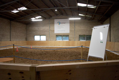 Pferdegestütztes-Coaching-Hamburg