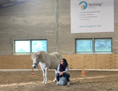 Ausbildung-Horse-Assisted-Coach-für-Trainerinnen