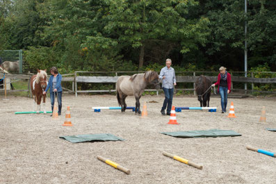 Führungskräftetraining-Pferde-Hamburg
