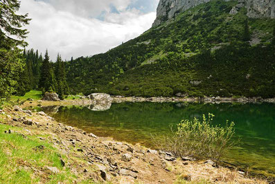 Montenegro 1000 Berge Allrad Truck 4x4