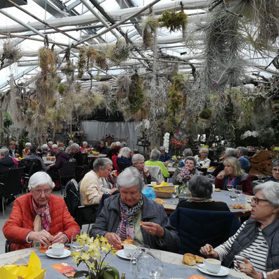 Orchideenschau bei Amsler's im Thurgau