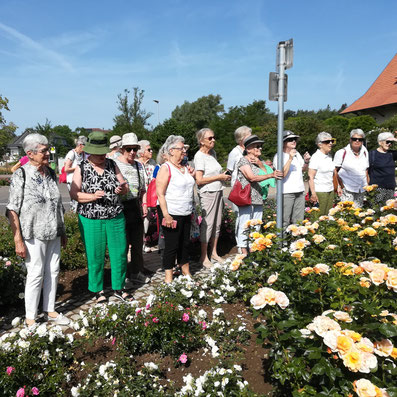 Rosendorf Nöggenschwiel und Tittisee