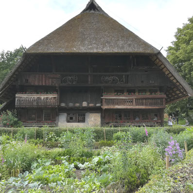 Schwarzwälder Freilichtmuseum & Vogtsbauernhof