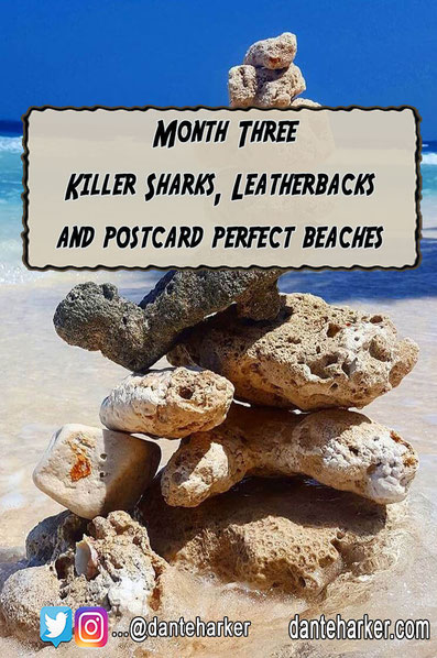 Month Three - Killer sharks, Turtles and Postcard Perfect Beaches - Dante harker