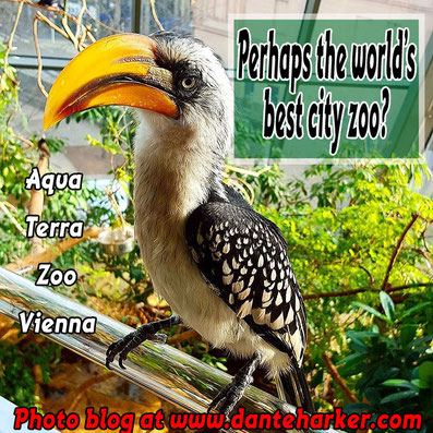 Aqua Terra Zoo in Vienna - amazing place, photo blog by Dante Harker
