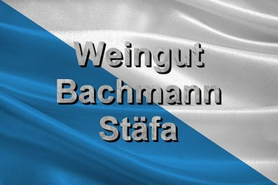 Fly and Wine, Helikopterflug mit Weindegustation, Wappe Zürich, Weingut Bachmann