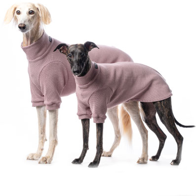 Unterwäsche Urban Winter von Dog Gear
