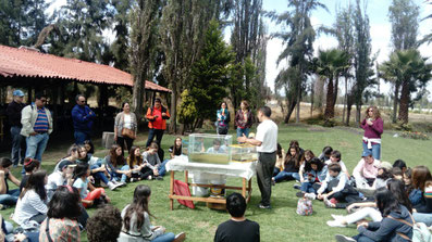 TALLERES AMBIENTALES