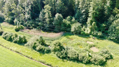 Naturschutzgebiet Judenweiher in Rheinfelden