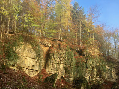 Ein alter Steinbruch am Berg bei Rheinfelden. Standort für wärme liebende Tiere und Pflanzen.