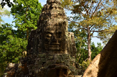Siem Reap, Kambodscha, Pubstreet, Südostasien, Zwei auf Achse, Backpacking, Weltreise, Asien, Angkor Wat, Phnom Penh,
