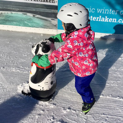 Eislaufen, jamadu, Eislaufhilfe, Panda, Interlaken, ice Magic, winter