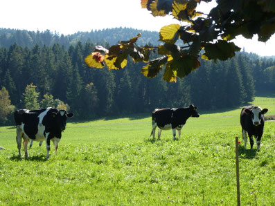Chalet d' alpage Maison vacance avec jardin