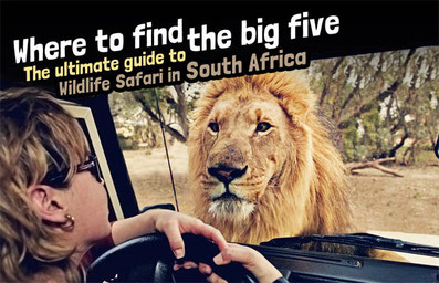 Where to find the big 5 - The Ultimate Guide to Wildlife Safari in South Africa | via @Just1WayTicket | Photo © Martin Harvey / Alamy