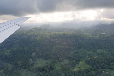 Regenwald von Príncipe