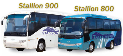 stallion 900 stallion 800