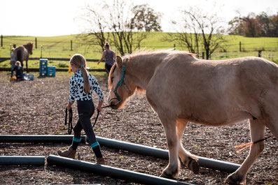 Reiterspiele, Kinder, reiten lernen, Selbstbewusstsein, Pferden wirken heilsam, Kinderkurs mit Pferden, Pony, Pferde pflegen