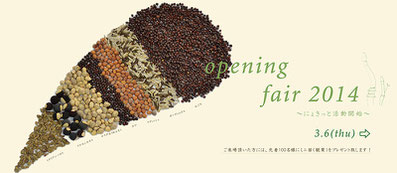 Opening Fair 2014