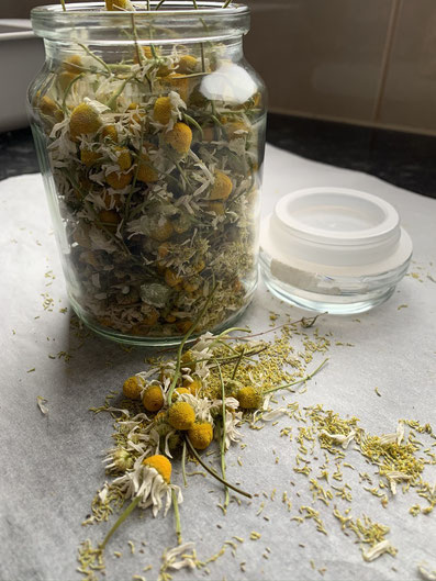 chamomile for gifts