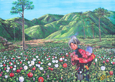 Opium-Anbau in Thailand