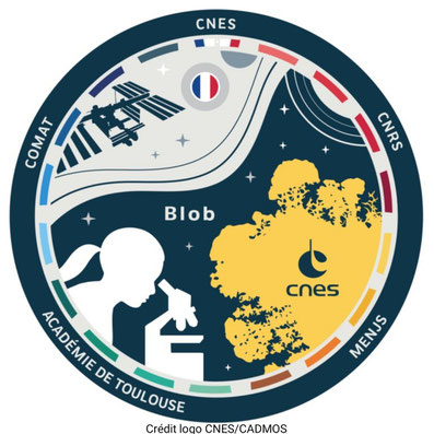 Bien en classe Mission Alpha Thomas Pesquet Elève ton blob  Projet Blob-Terre CNES CADMOS CNRS Mission X Marche vers la Lune sciences astronomie expériences école classe cycle 2 cycle 3 collège lycée