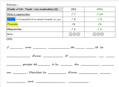 Orthographe Dictées Picot Grammaire Méthode Picot Correction CE2 CM1 cycle 2 cycle 3