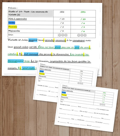 Orthographe Dictées Picot Grammaire Méthode Picot Correction CE2 CM1 cycle 2 cycle 3