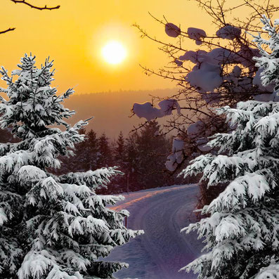 Winter-Impression  Foto Eva Schniedertüns Gornik
