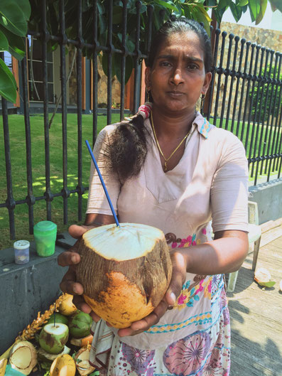 Kokosnuss in Sri Lanka