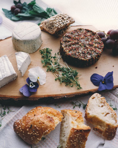 Vegan für Anfänger zweidiereisen