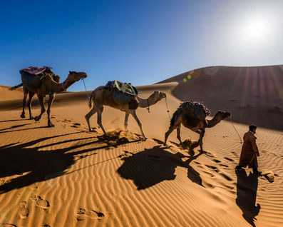 Excursion désert Mhamid