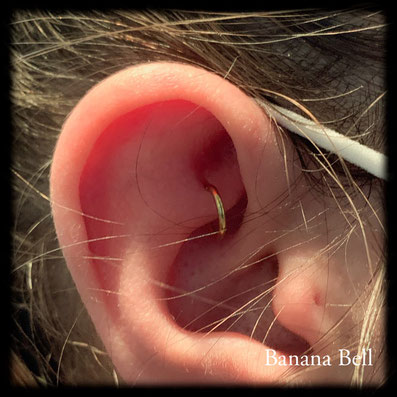 Anneau piercing Rook Genève