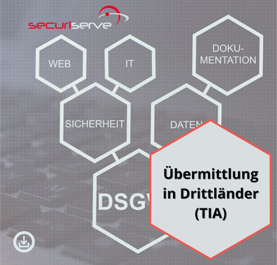 Transfer Impact Assessment (TIA) - Muster & Vorlagen