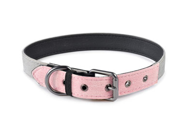 Hundehalsband Milano Rosé Grau schick Cord Leder 51DN