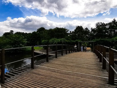 Holzbrücke zum Hans Christian Andersen Park in Odense auf der Insel Fünen