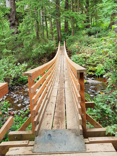 USA Roadtrip Oregon Oswald West State Park Short Sands Trail Brücke