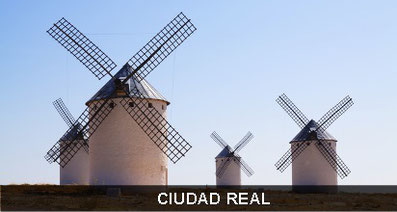 PROVINCIA DE CIUDAD REAL