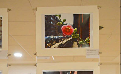 Zarahzetas Ausstellungsbild in London, City Blossom
