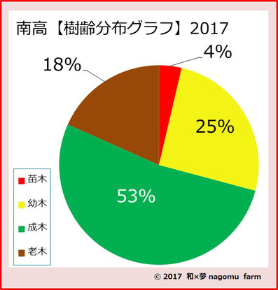 南高樹齢分布グラフ【2017】 和×夢 nagomu farm