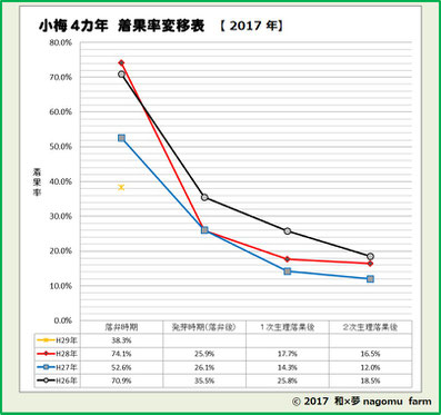 小梅4カ年 着果数変移表【2017】 和×夢 nagomu farm