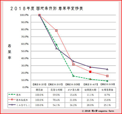 2018園地条件別 梅着果率推移【収獲間近】  和×夢 nagomu farm