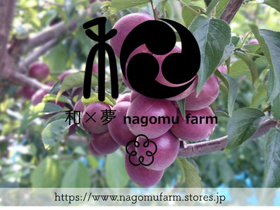 和×夢 nagomu farm ショップサイト stores.jp