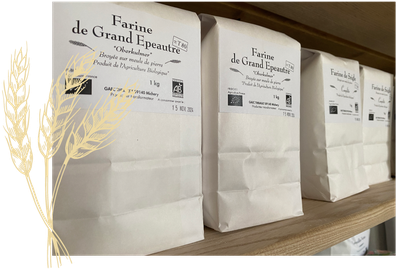 Dans l'Yonne, à Michery, le GAEC Thibault propose des farines d'exception BIO moulus sur meule de pierre, vente direct à la ferme.