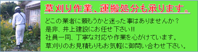 霊園 墓地 代行 国産 無農薬